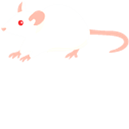 Albino Mouse White Ponter