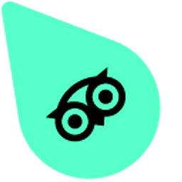 TripAdvisor Green Owl Arrow Cursor