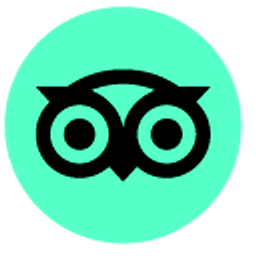 TripAdvisor Green Owl Hand Cursor