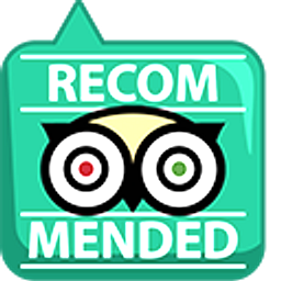 TripAdvisor Hand Cursor