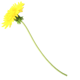 Yellow Dandelion Yellow Arrow Cursor